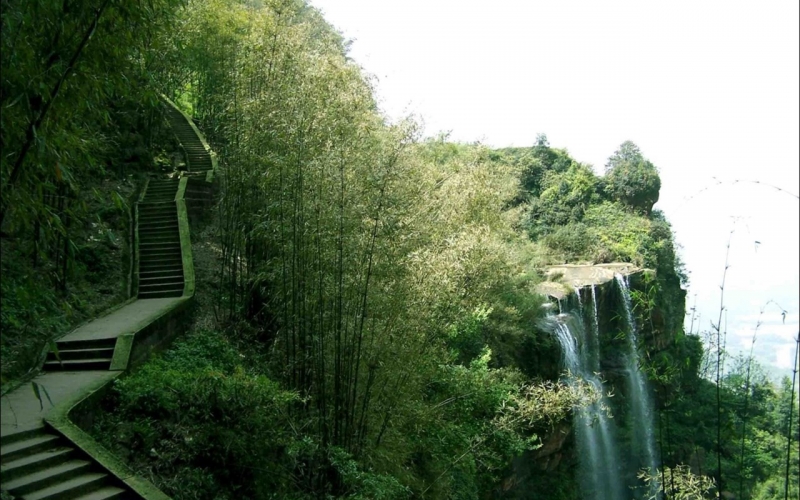 竹林唯美风景图  绿色舒缓心情