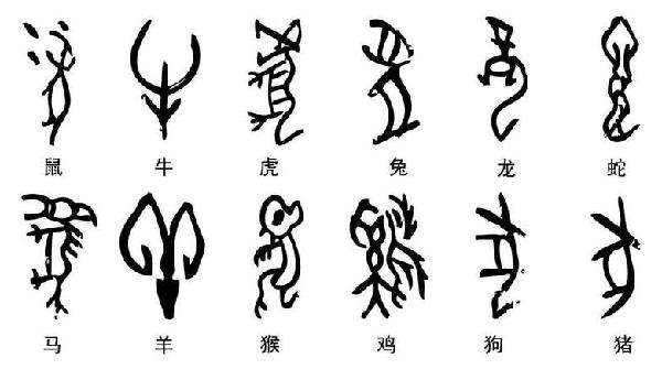 甲骨文的魅力  中国最早的文字甲骨文图片