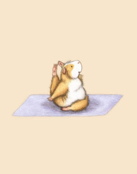 练瑜伽的小豚鼠全集-萌物图片（一）