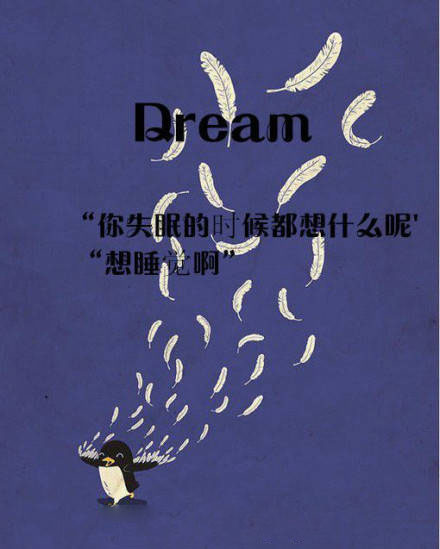 对dream的搞笑定义-文字意境图片（一）