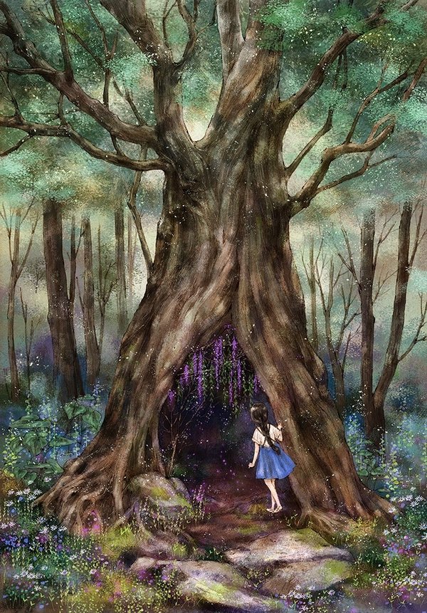 童话里的森林插图